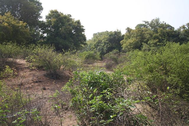 Kaboré Tambi National Park